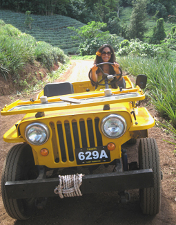 CJ-3A jeep in Tahiti