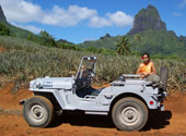 Navy Jeep Bora Bora