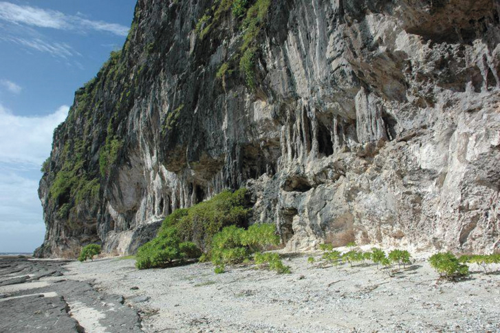 crédit photo : IRD crédit photo : IRD