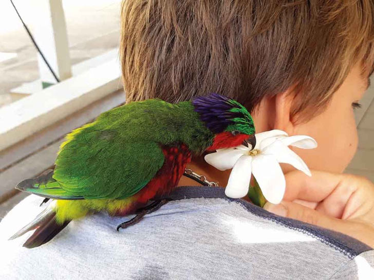 Crédit photo : DR Crédit photo : DR