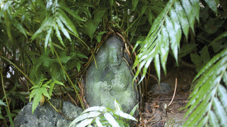 Crédit photo : Jonathan Bougard