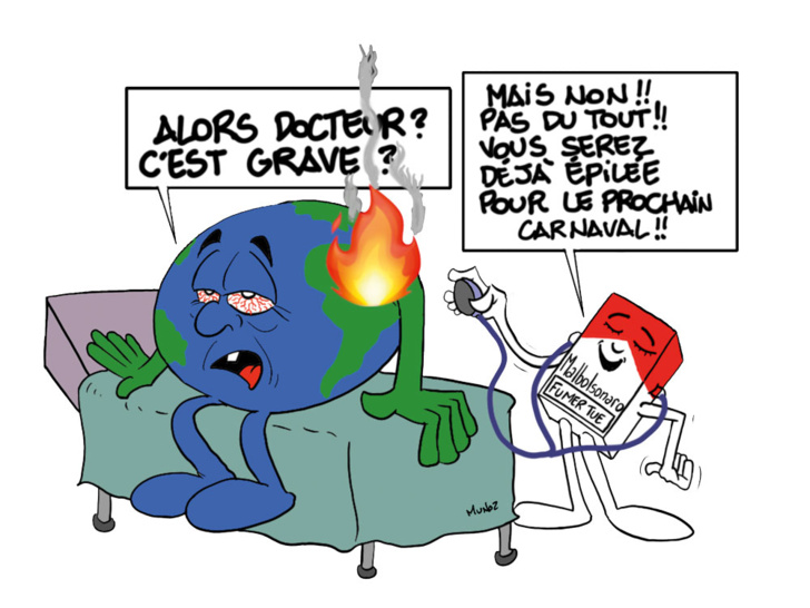 Déforestation mondiale : tous responsables !