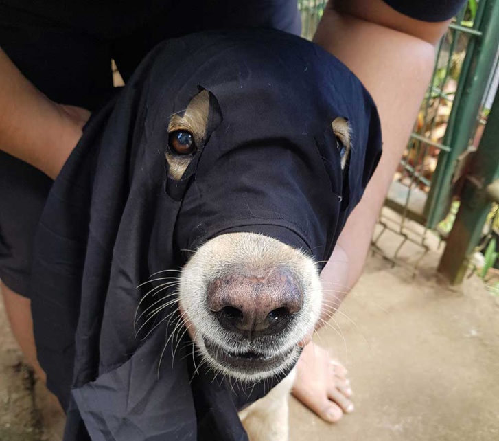 Crédit photo : Dominique Schmitt