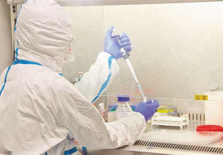 Crédit photo :  Archives LNC