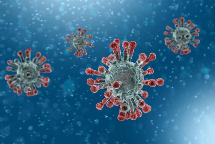 Crédit photo : DR Crédit photo : DR