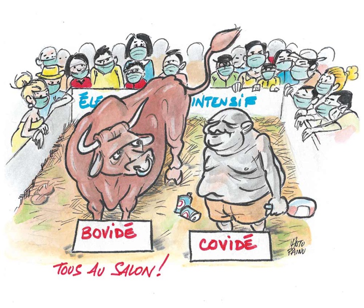 Élevage intensif de covidés…