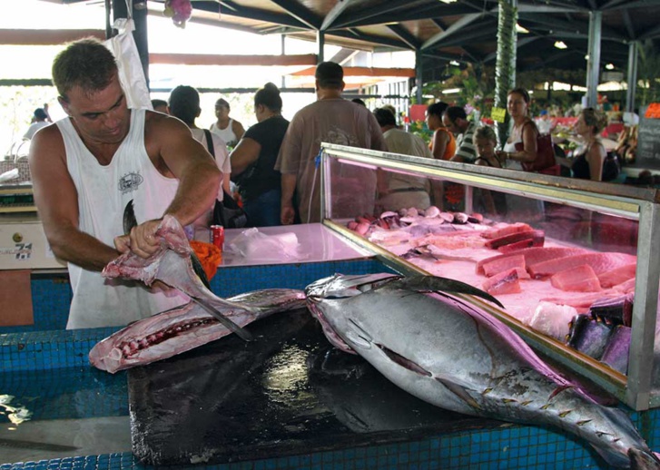 Crédit photo : Archives i[TPM]i