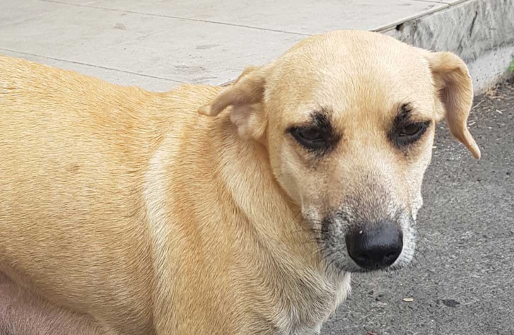 Crédit photo : Dominique Schmitt