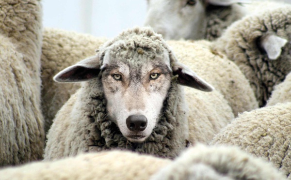 Gare aux prophètes de malheur