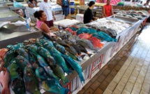 Redécouvrons nos ressources naturelles !