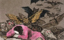 “Le sommeil de la raison engendre des monstres” (Francisco de Goya)