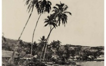 Mieux aller danser qu’étudier ?