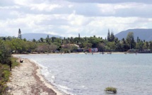 Présence de requins : activités interdites à la plage de Foué