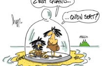 Confinement : comment en sortir ?