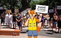 Du renard libre dans le poulailler libre